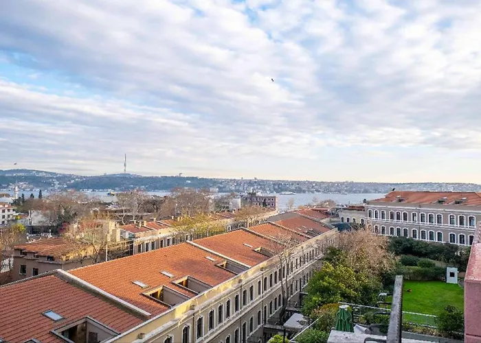 King Besiktas Istambul